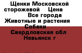 Щенки Московской сторожевой  › Цена ­ 25 000 - Все города Животные и растения » Собаки   . Свердловская обл.,Невьянск г.